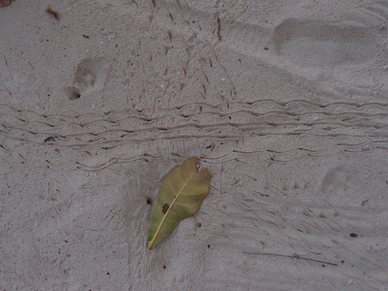 2015-10-04 Sand Komposition 3 (Foto)